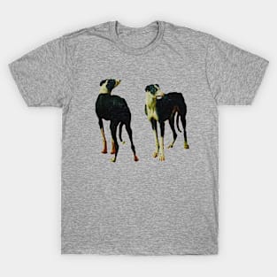 A Pair of Greyhounds T-Shirt